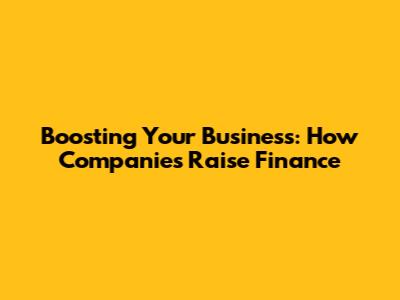 Boosting Your Business: How Companies Raise Finance