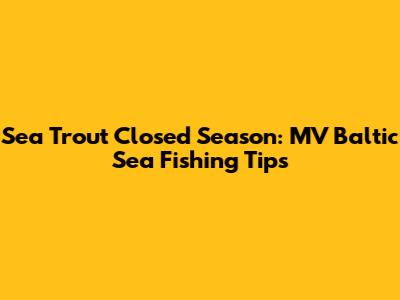 Sea Trout Closed Season: MV Baltic Sea Fishing Tips