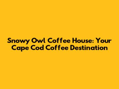 Snowy Owl Coffee House: Your Cape Cod Coffee Destination