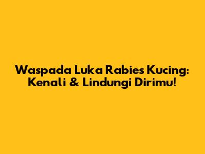 Waspada Luka Rabies Kucing: Kenali & Lindungi Dirimu!
